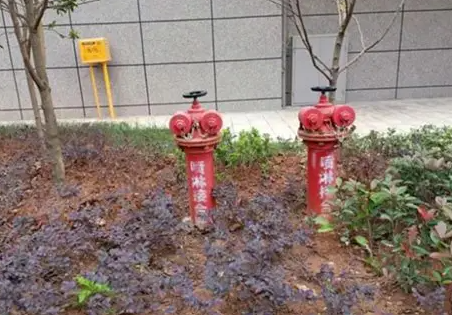 1764122540527438.png image.png